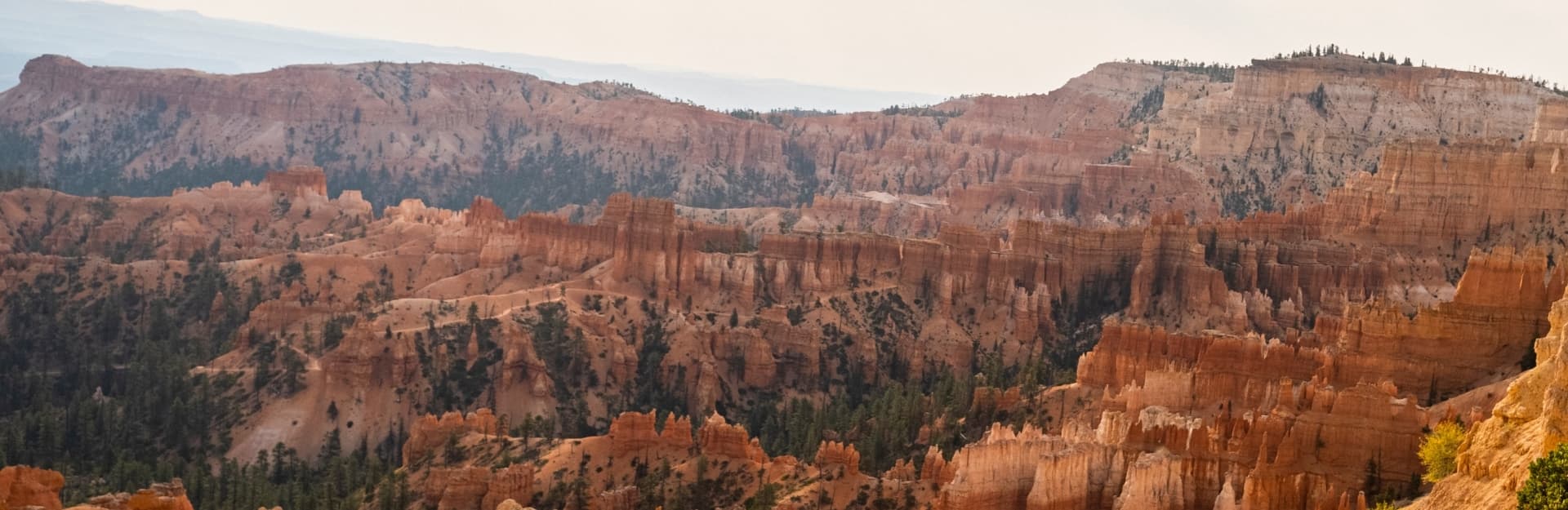 WordPress blog image - Featured_img_1920x625-10.jpg