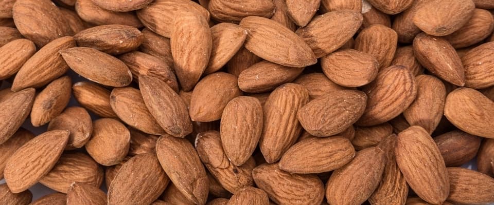 WordPress blog image - almonds-blog.jpg