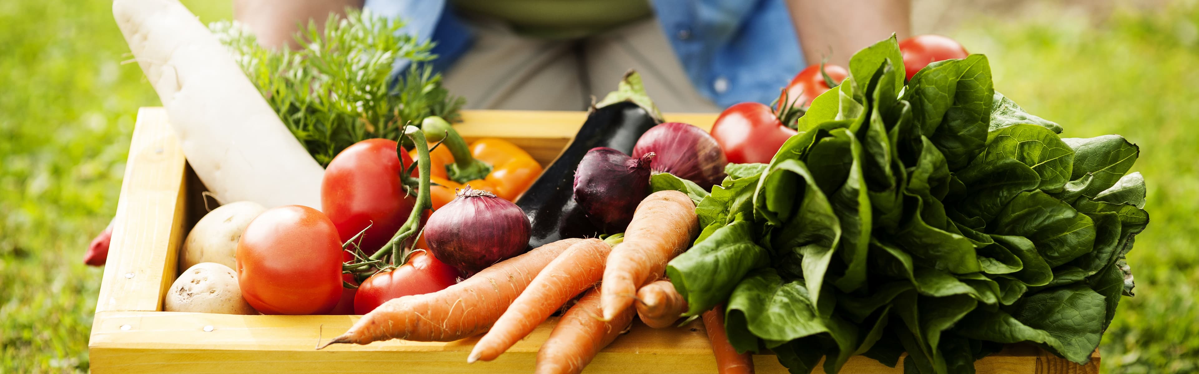 WordPress blog image - organic-blog2.jpg