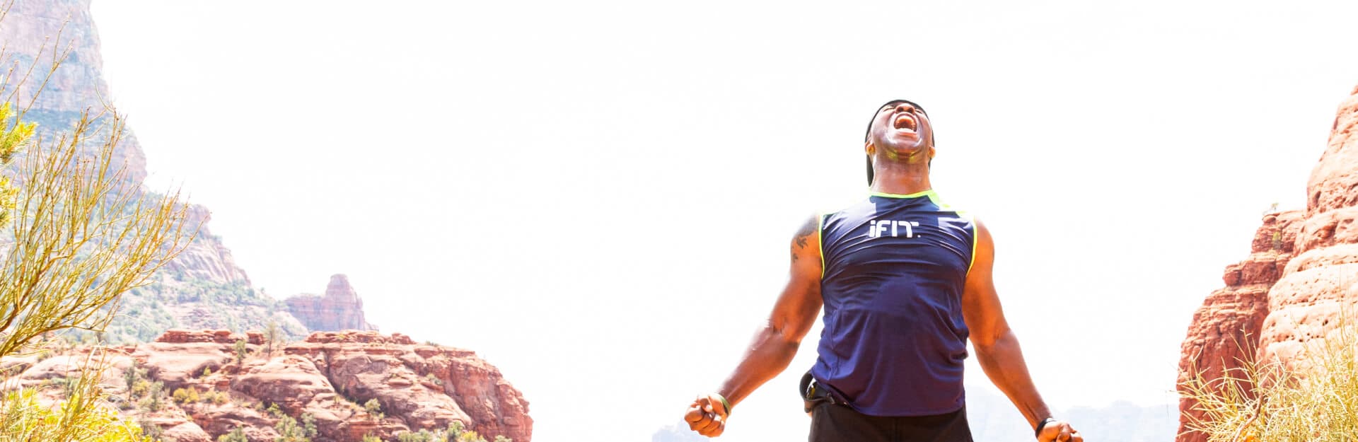 WordPress blog image - Featured_img_1920x625-12.jpg